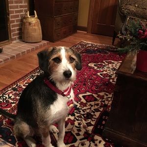 Meet your Posher, John